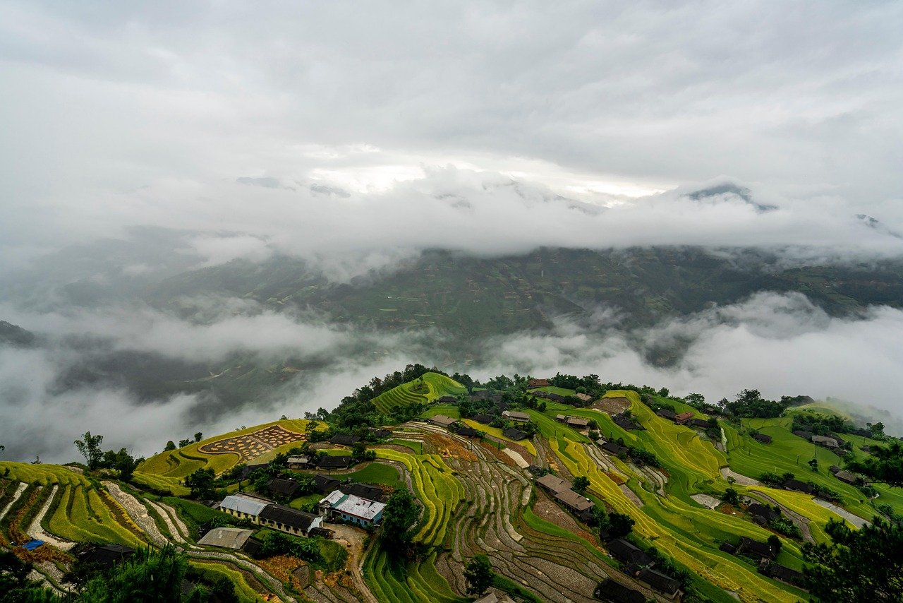 鹿児島で介護職経験者がステップアップするための講座は？