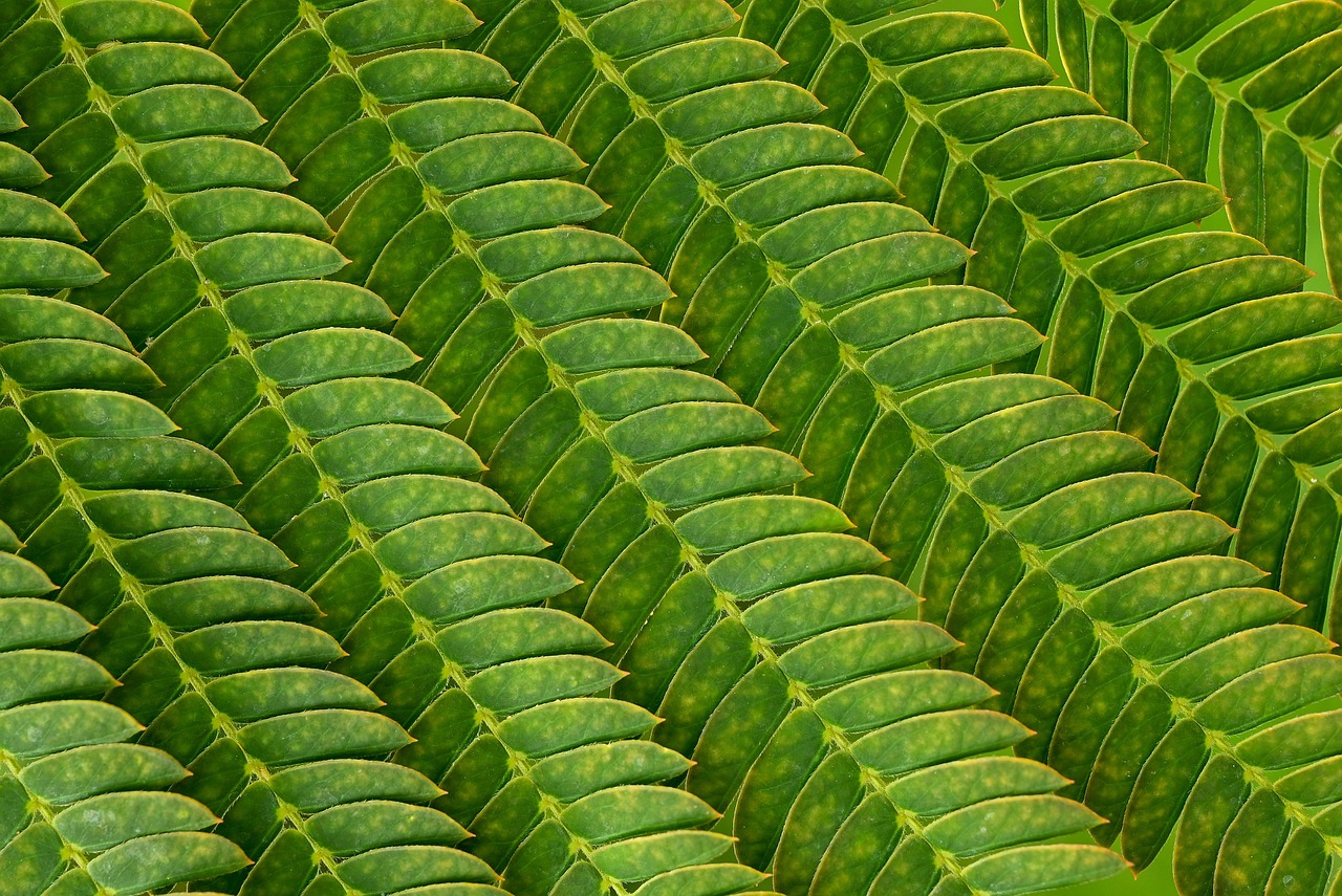 鹿児島の介護スクールで夜間短期合格プランはどのように利用できる？