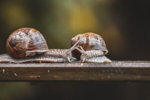 介護資格を短期間で取得する方法は鹿児島でどのように行えるのか？