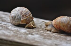 鹿児島で介護資格を取得することの効果とは？
