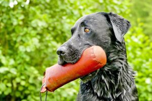 介護資格を取得前に知っておくべき注意点は？